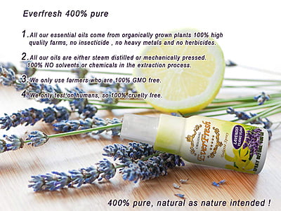 Everfresh Lavender Ylang Ylang Spray Before You Go 100ml Everfresh Lavender Ylang Ylang Spray Before You Go 100ml