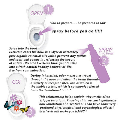 Everfresh Spray Before You Go Spray 100ml Everfresh Spray Before You Go Spray 100ml