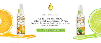 Everfresh Spray Before You Go Spray 100ml Everfresh Spray Before You Go Spray 100ml