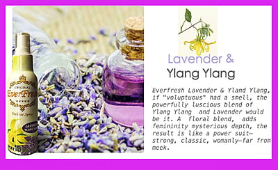 Everfresh Lavender Ylang Ylang Spray Before You Go 100ml Everfresh Lavender Ylang Ylang Spray Before You Go 100ml