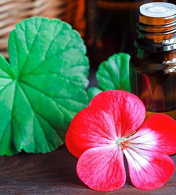 Everfresh Bergamot & Geranium Spray Before You Go 100ml Everfresh Bergamot & Geranium Spray Before You Go 100ml